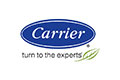 Carrier